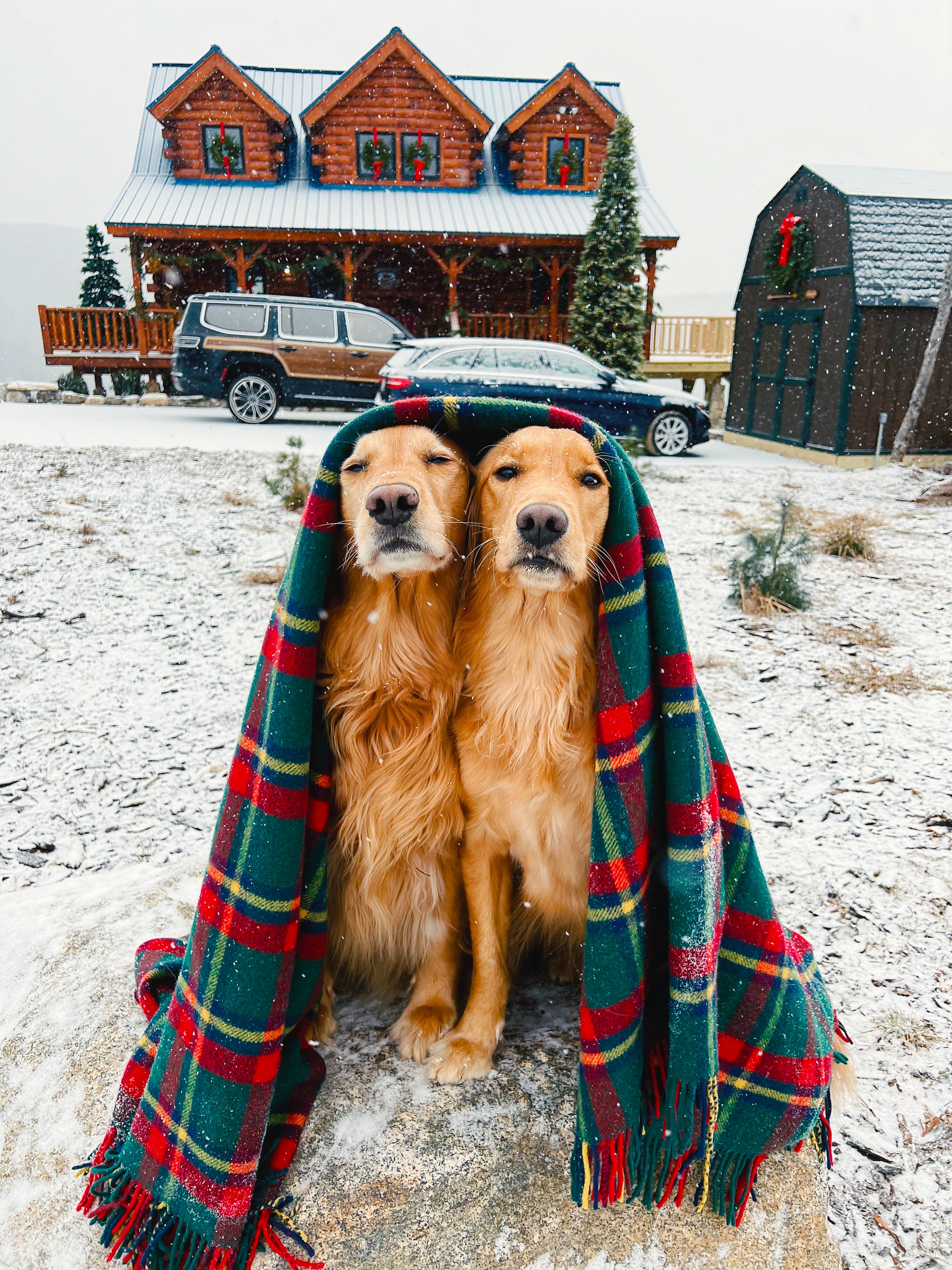 The Manchester Tartan Blanket