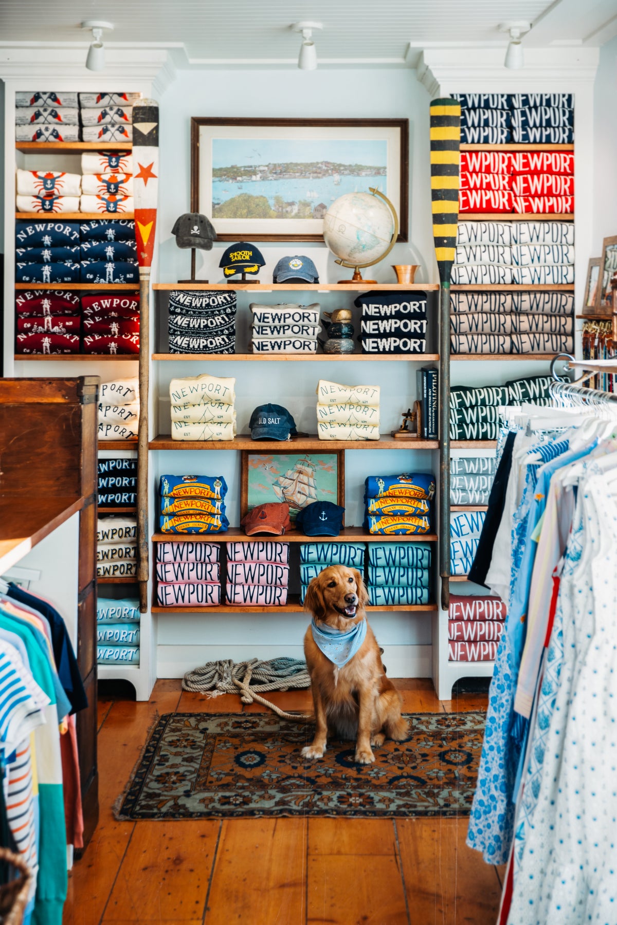 Seafari Dog Bandana
