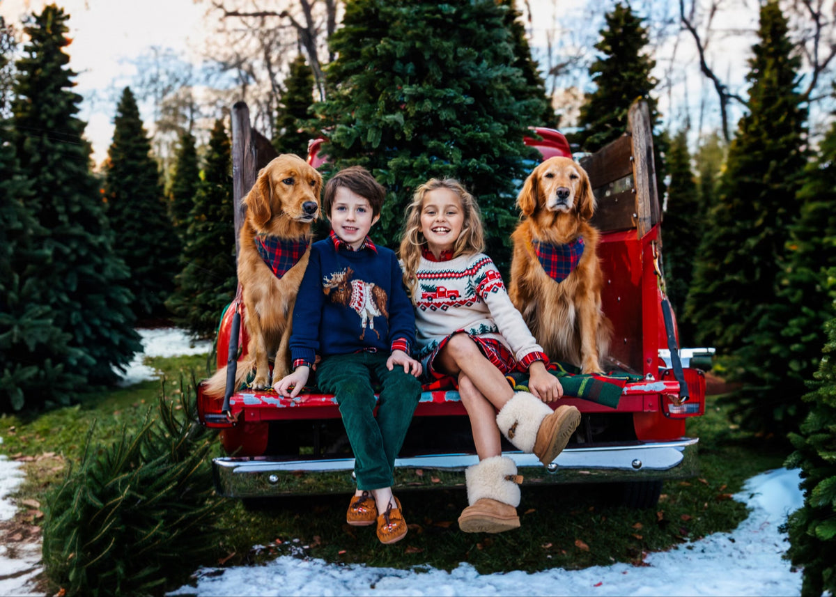 The McCallister Moose Kids Sweater