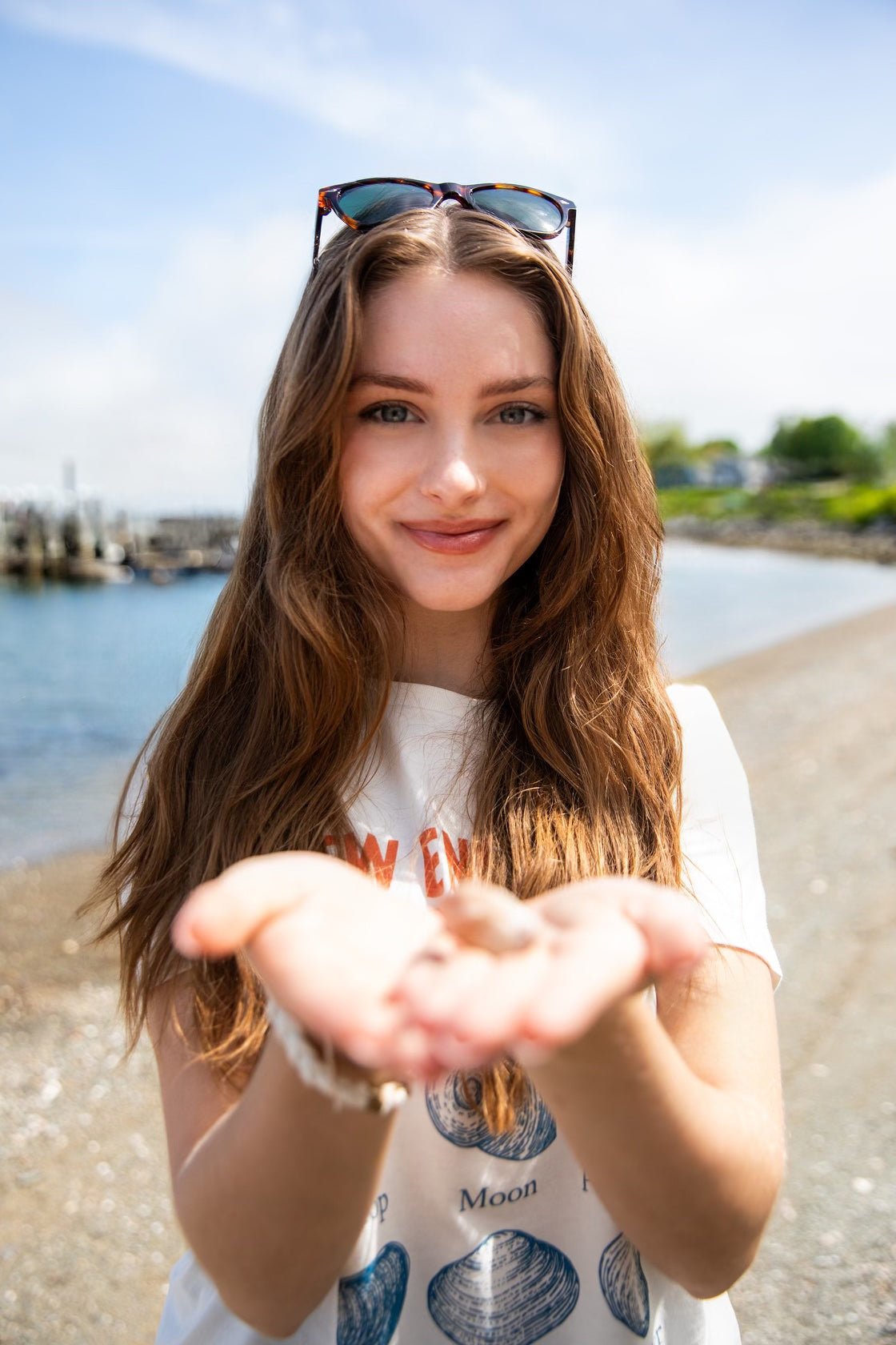 New England Seashells Graphic T-Shirt