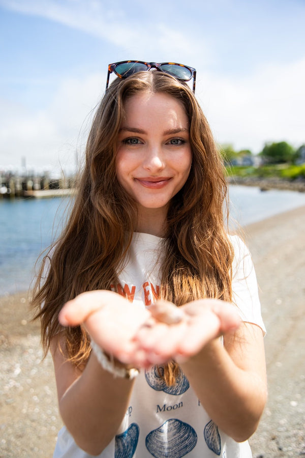 New England Seashells Tee