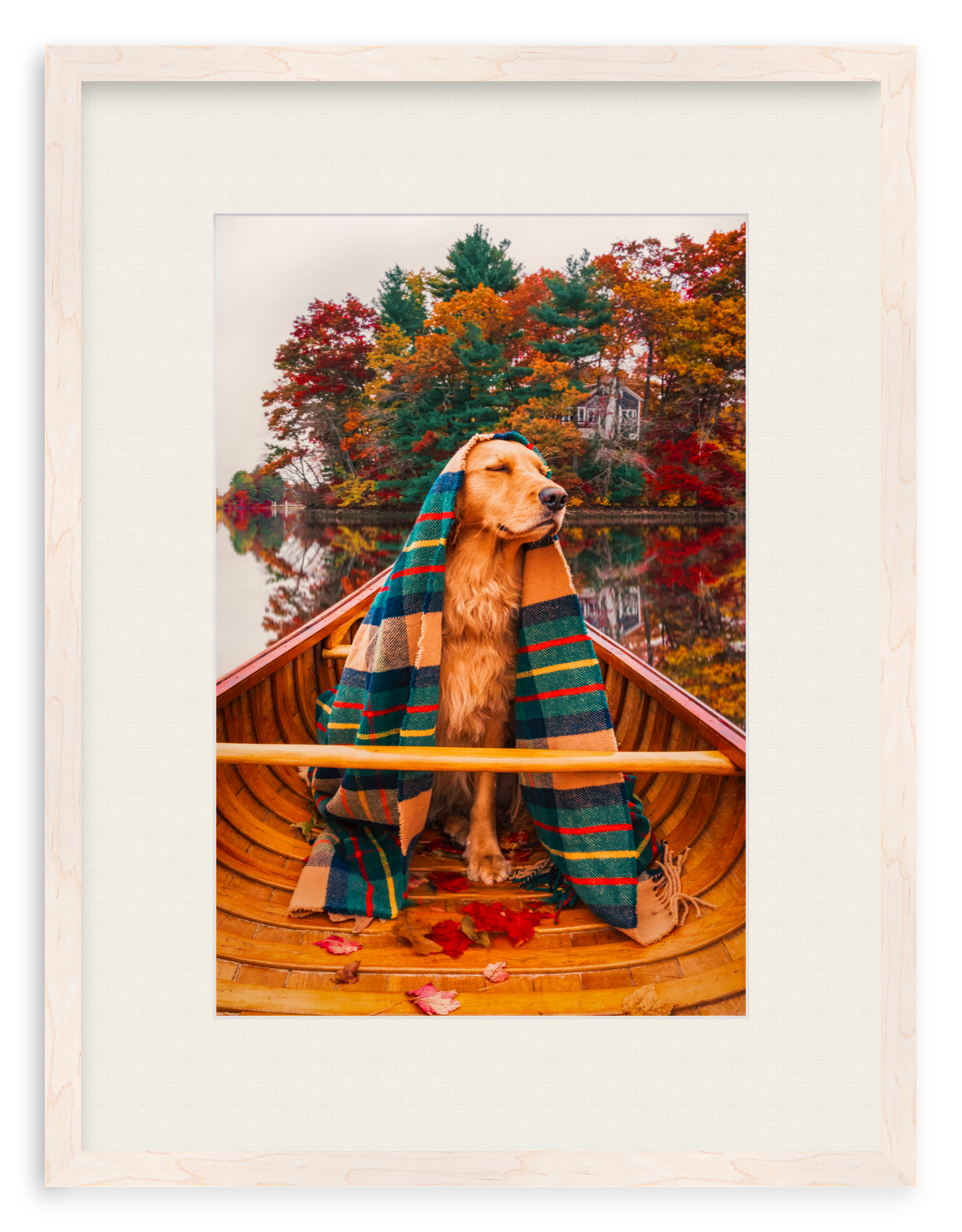 Autumn Paddle Framed Art Print