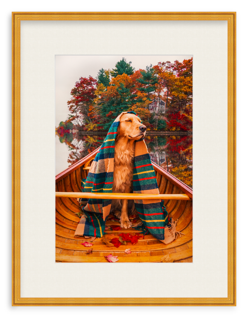 Autumn Paddle Framed Art Print