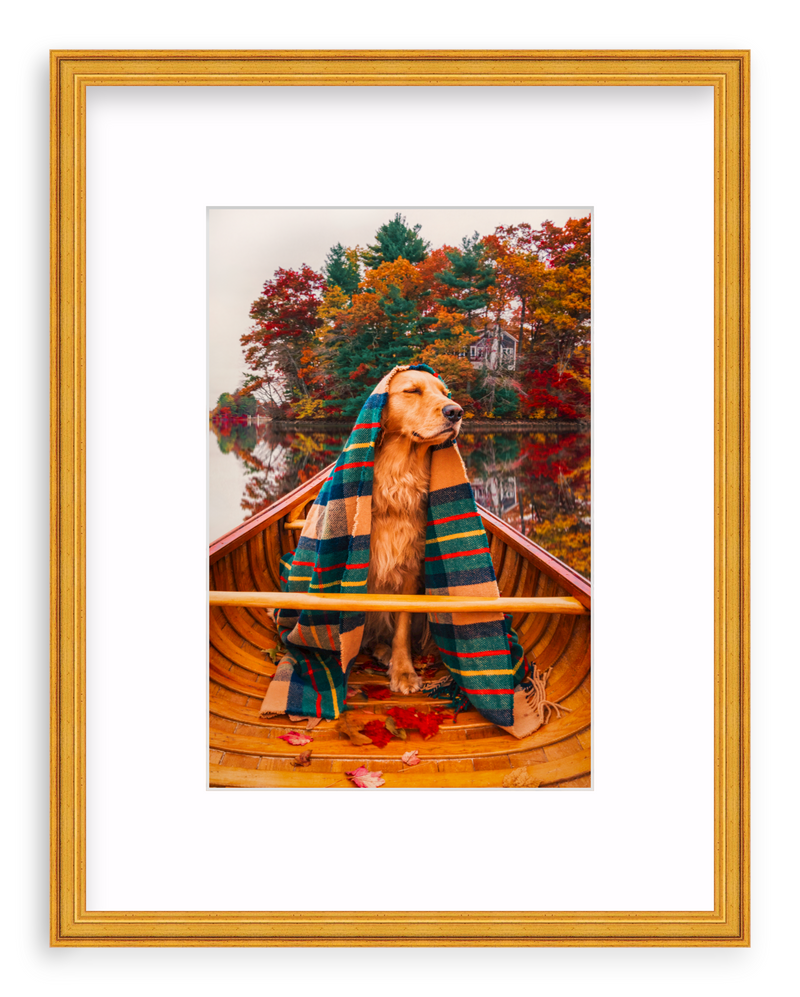 Autumn Paddle Framed Art Print