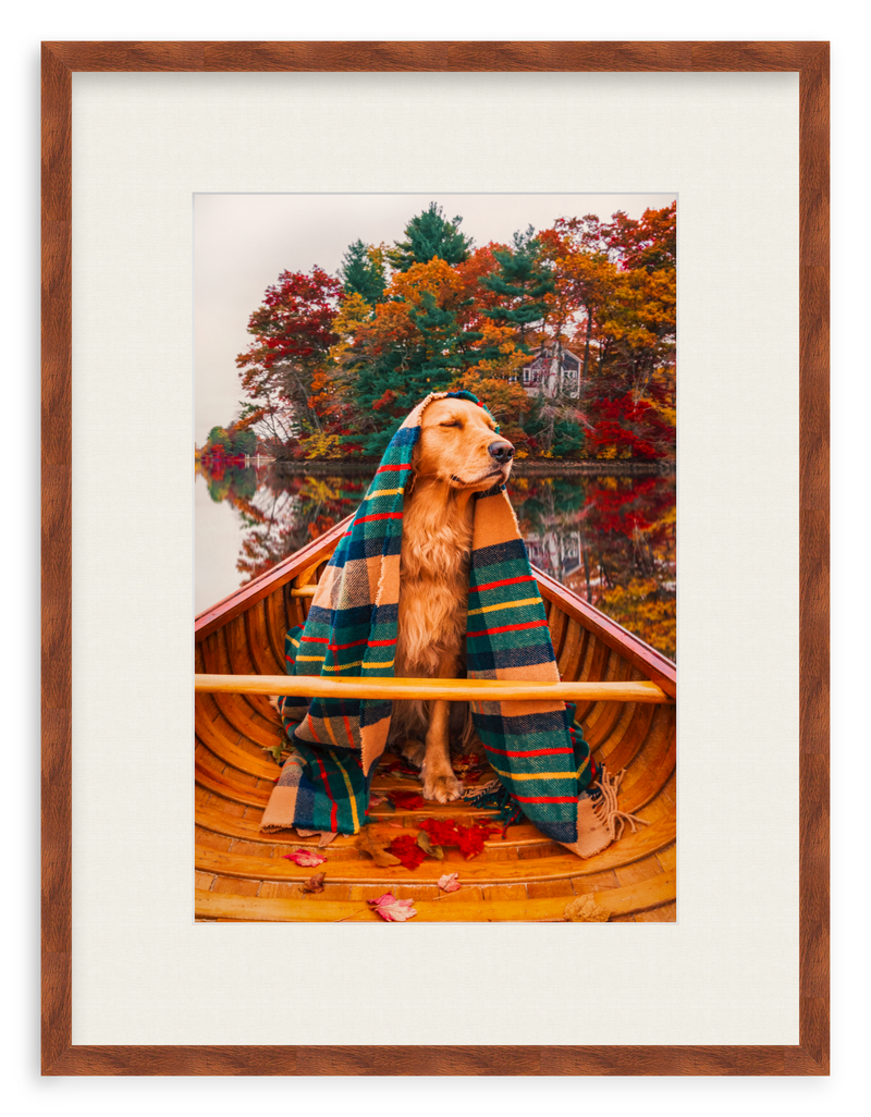 Autumn Paddle Framed Art Print