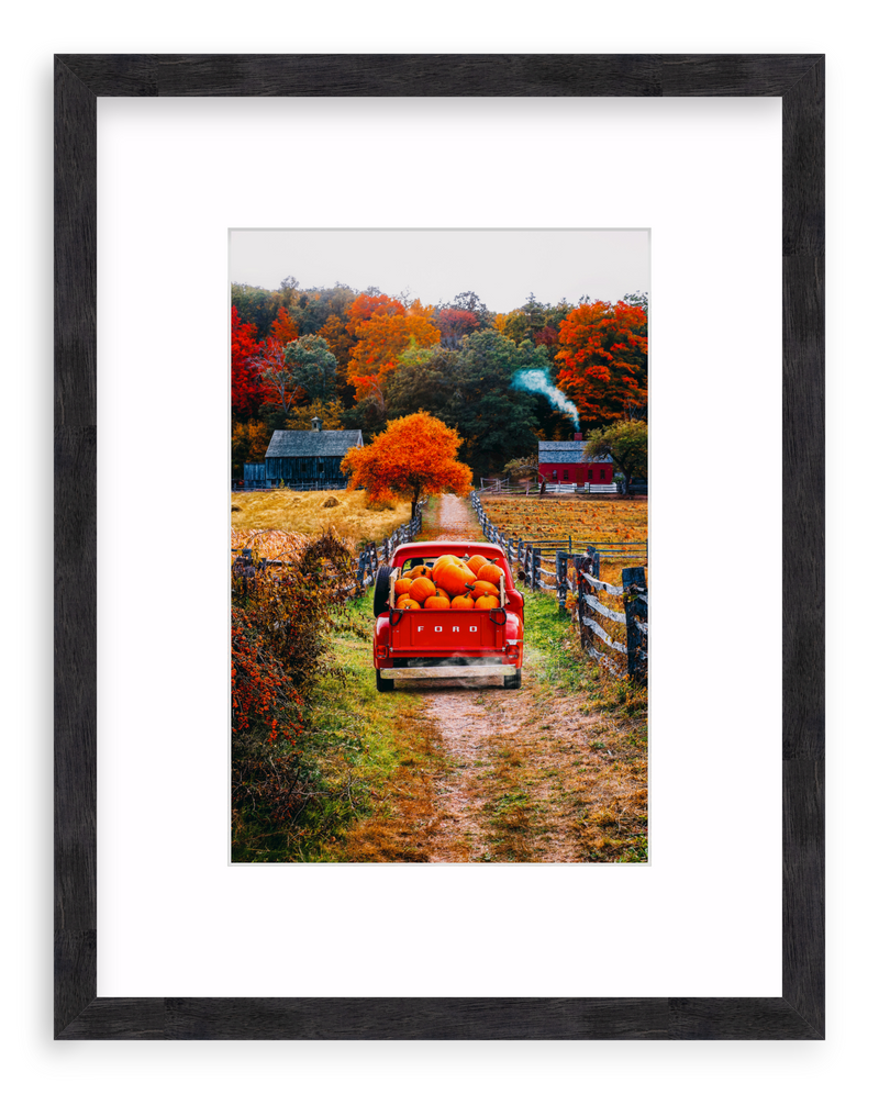 Fall Haul Framed Art Print