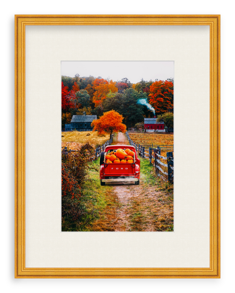 Fall Haul Framed Art Print