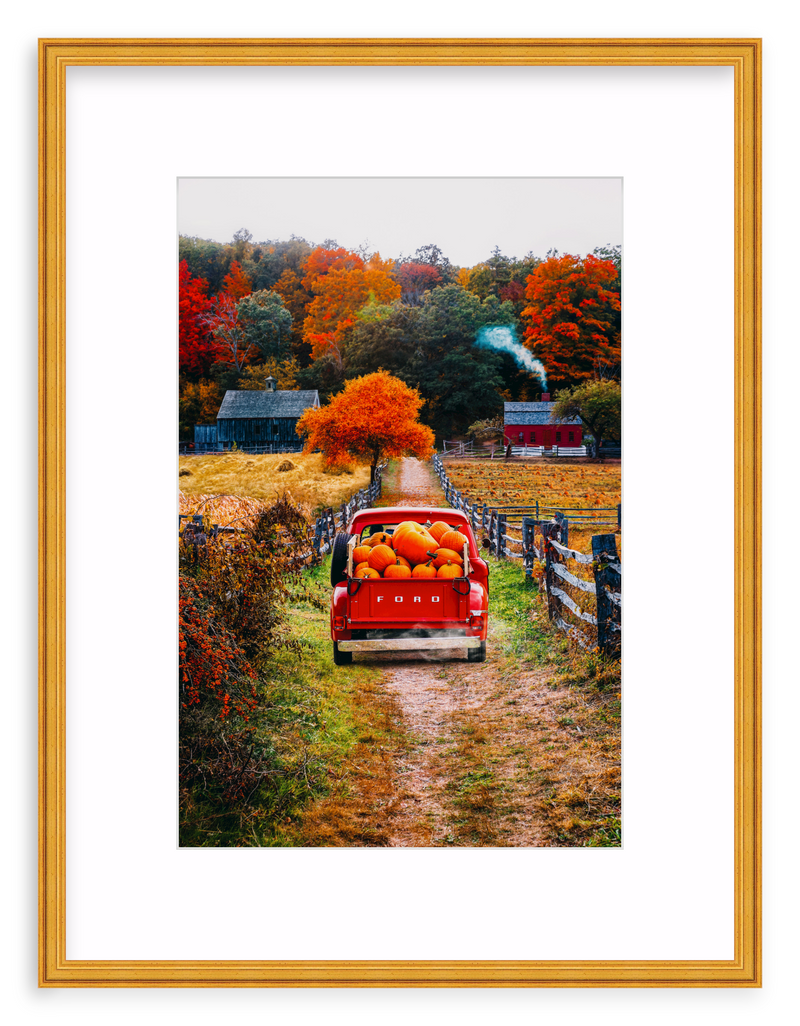 Fall Haul Framed Art Print