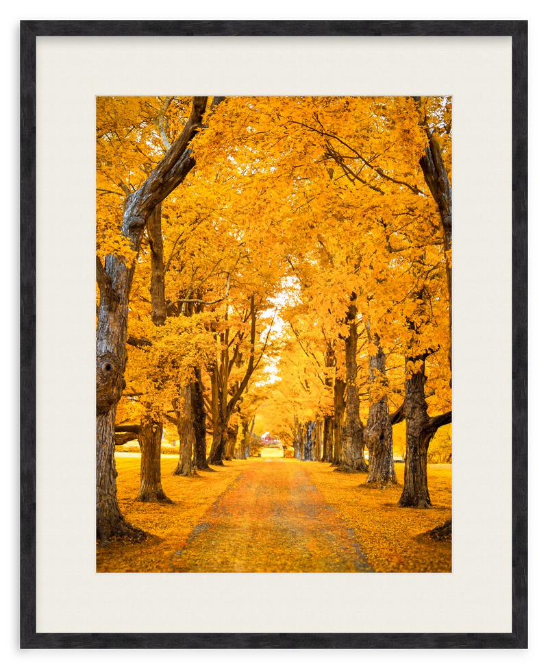 Golden Hour Framed Art Print