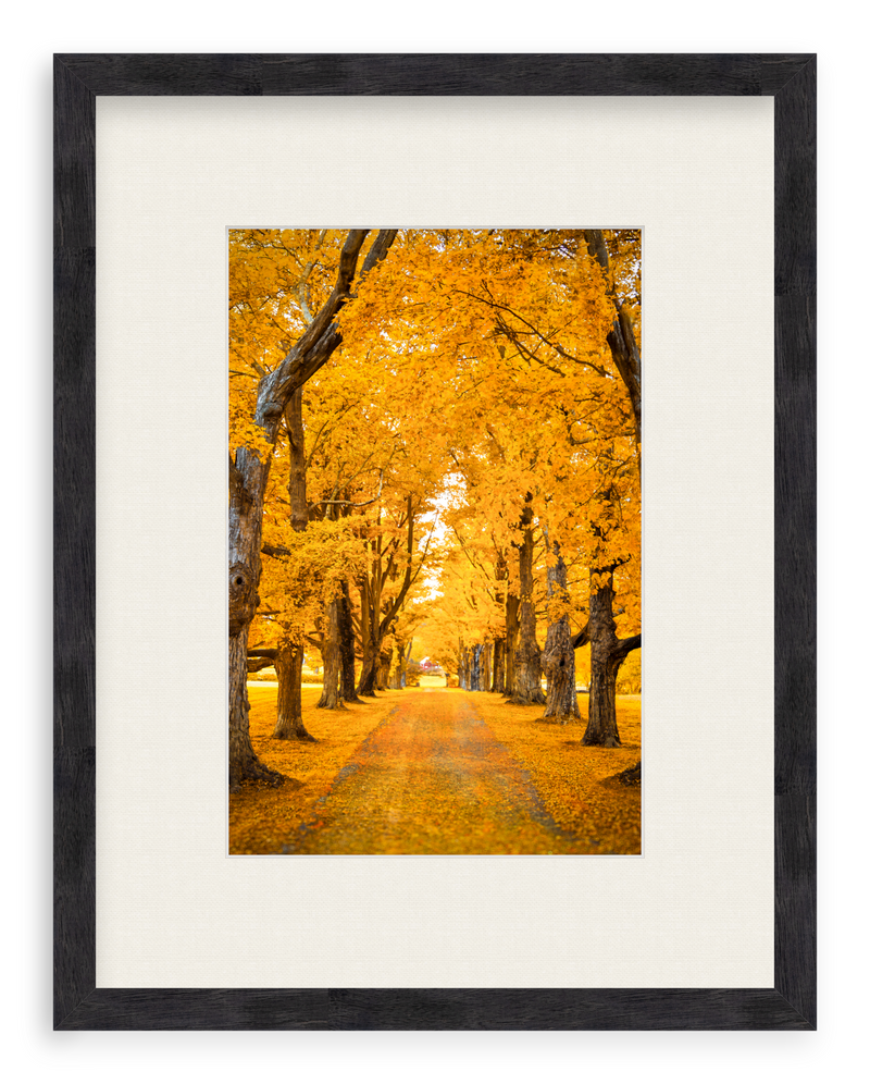 Golden Hour Framed Art Print