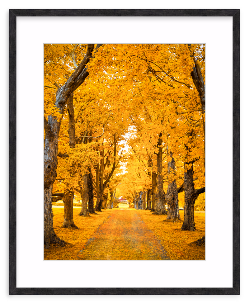 Golden Hour Framed Art Print