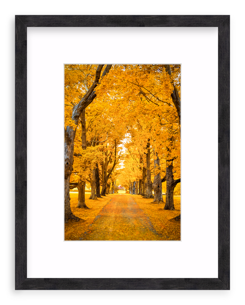 Golden Hour Framed Art Print