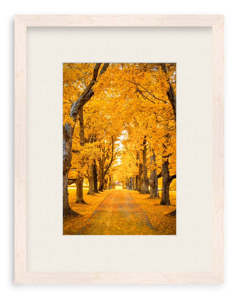 Golden Hour Framed Art Print