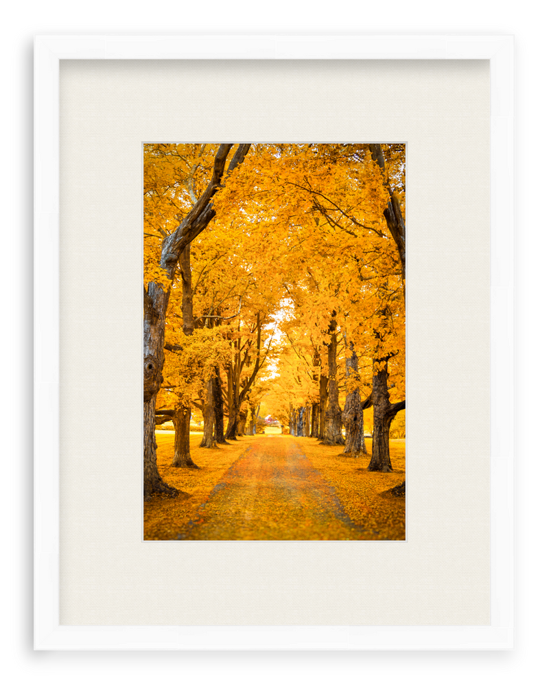 Golden Hour Framed Art Print