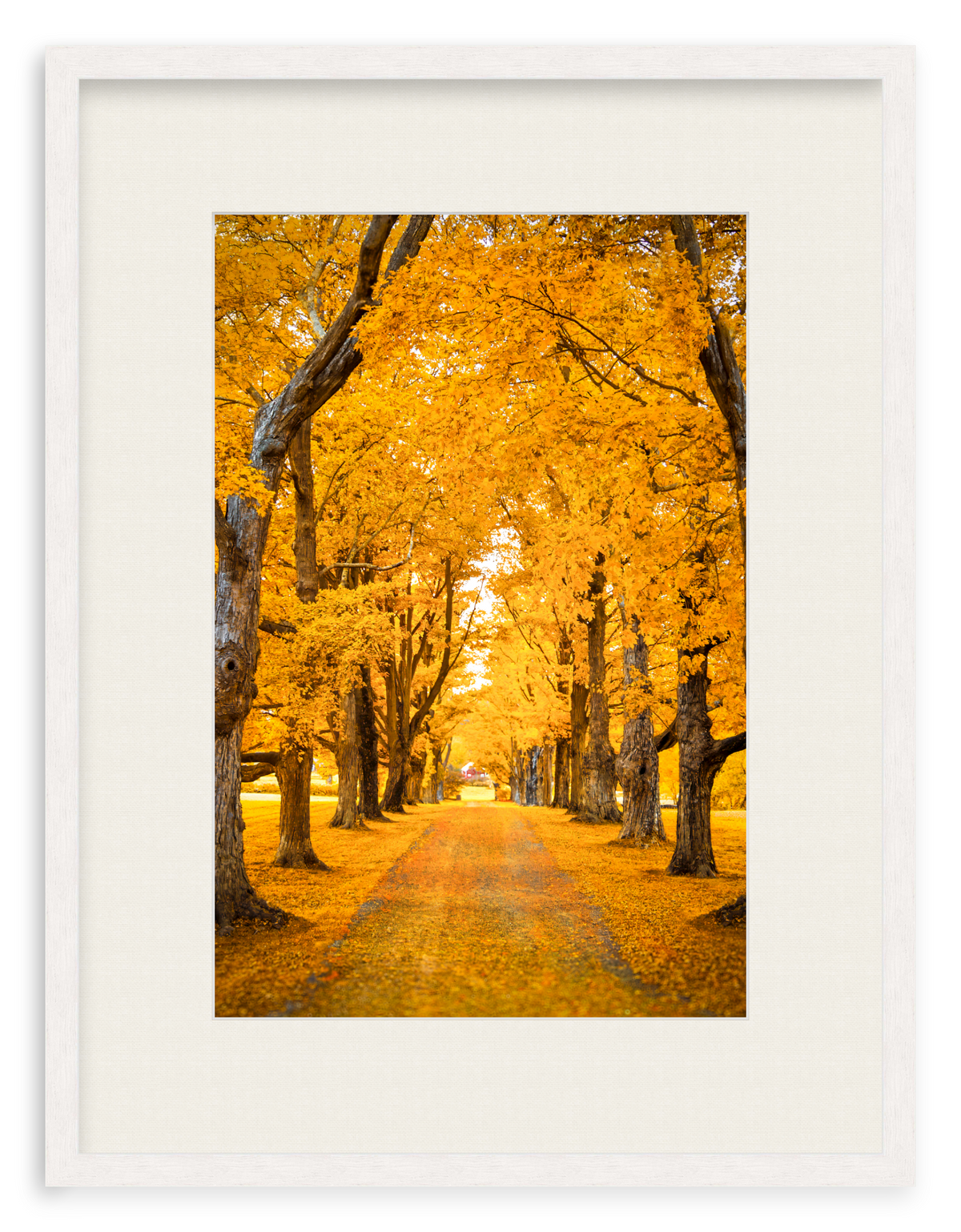 Golden Hour Framed Art Print