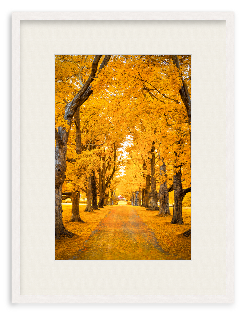 Golden Hour Framed Art Print