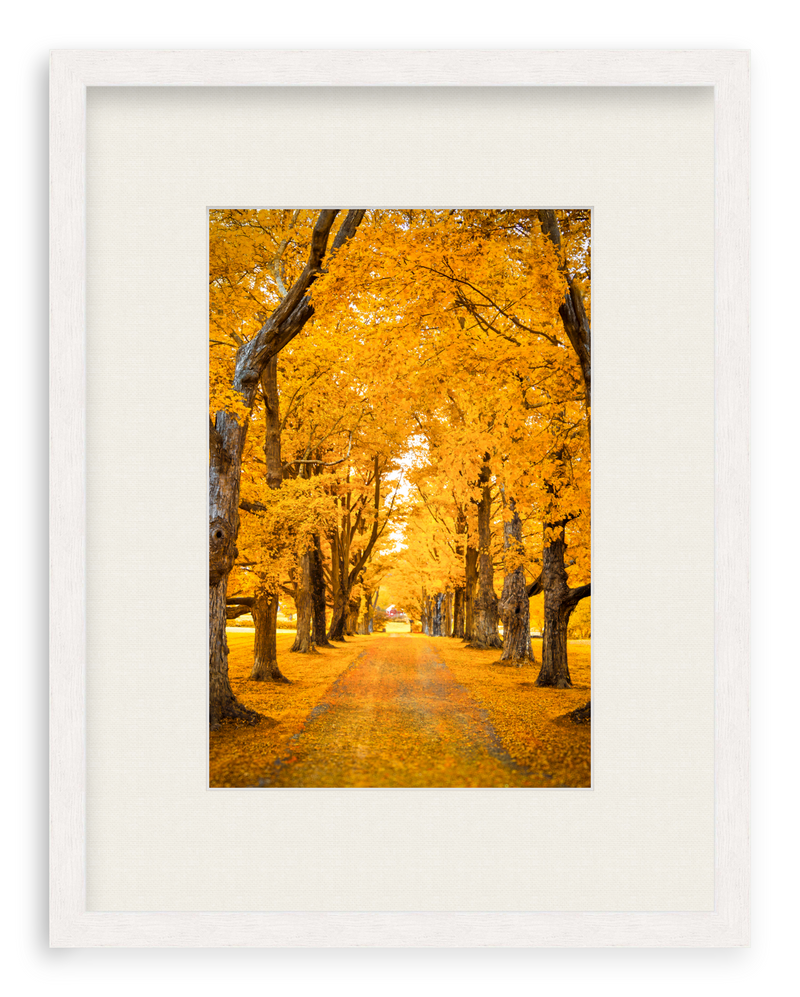 Golden Hour Framed Art Print