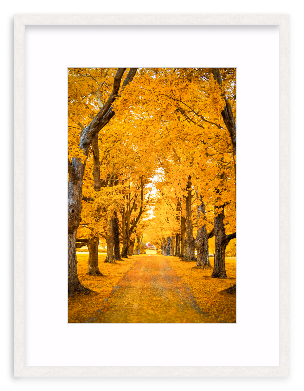 Golden Hour Framed Art Print