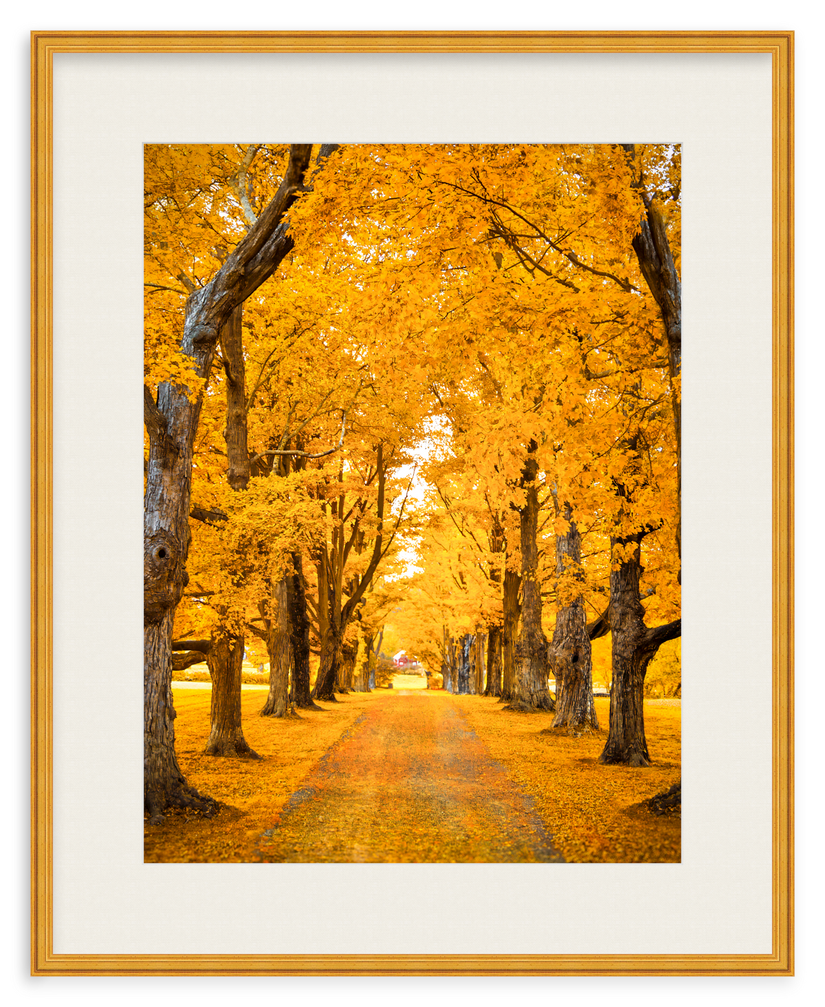 Golden Hour Framed Art Print