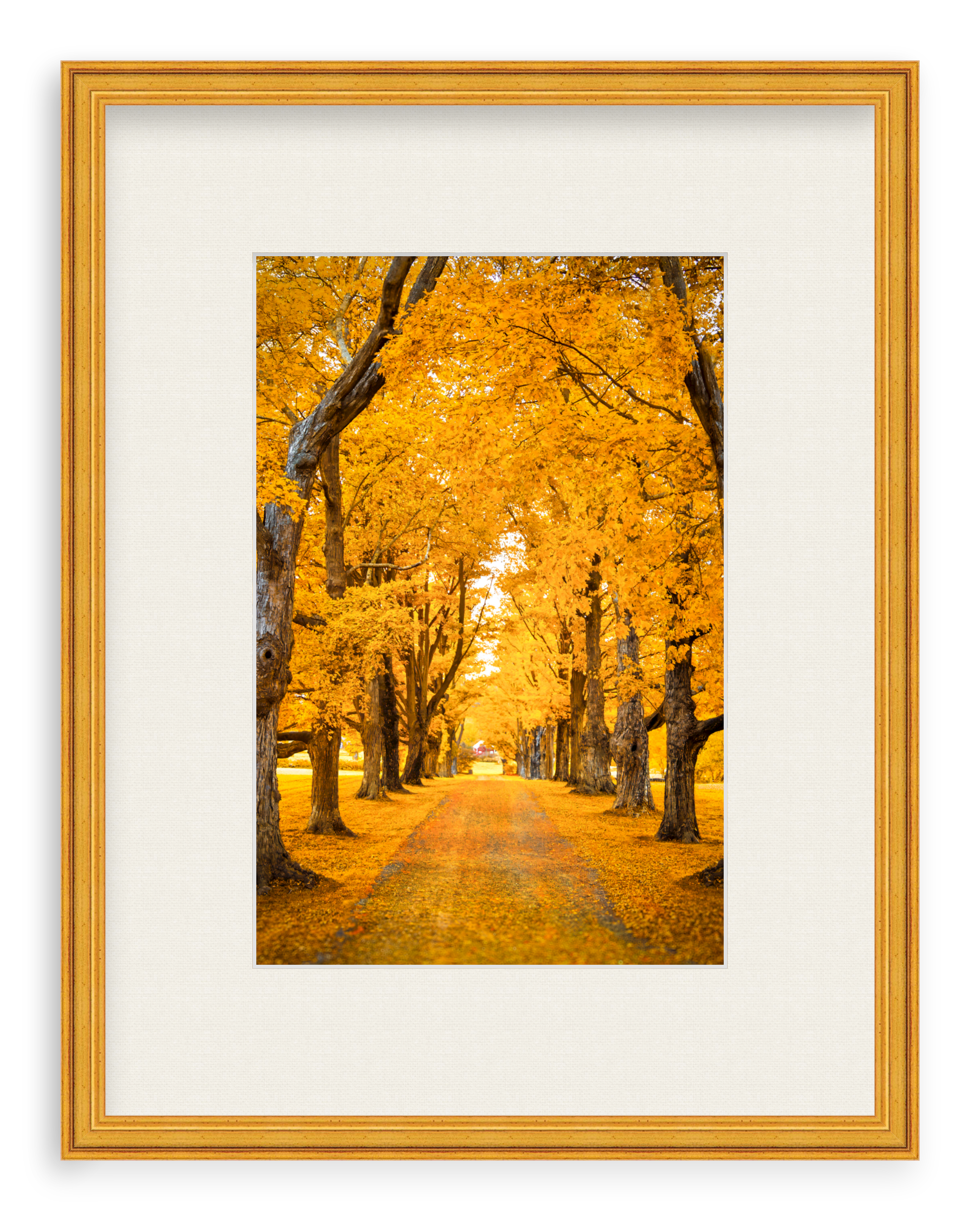 Golden Hour Framed Art Print