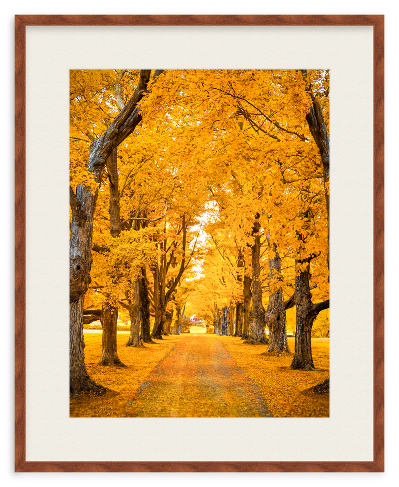 Golden Hour Framed Art Print