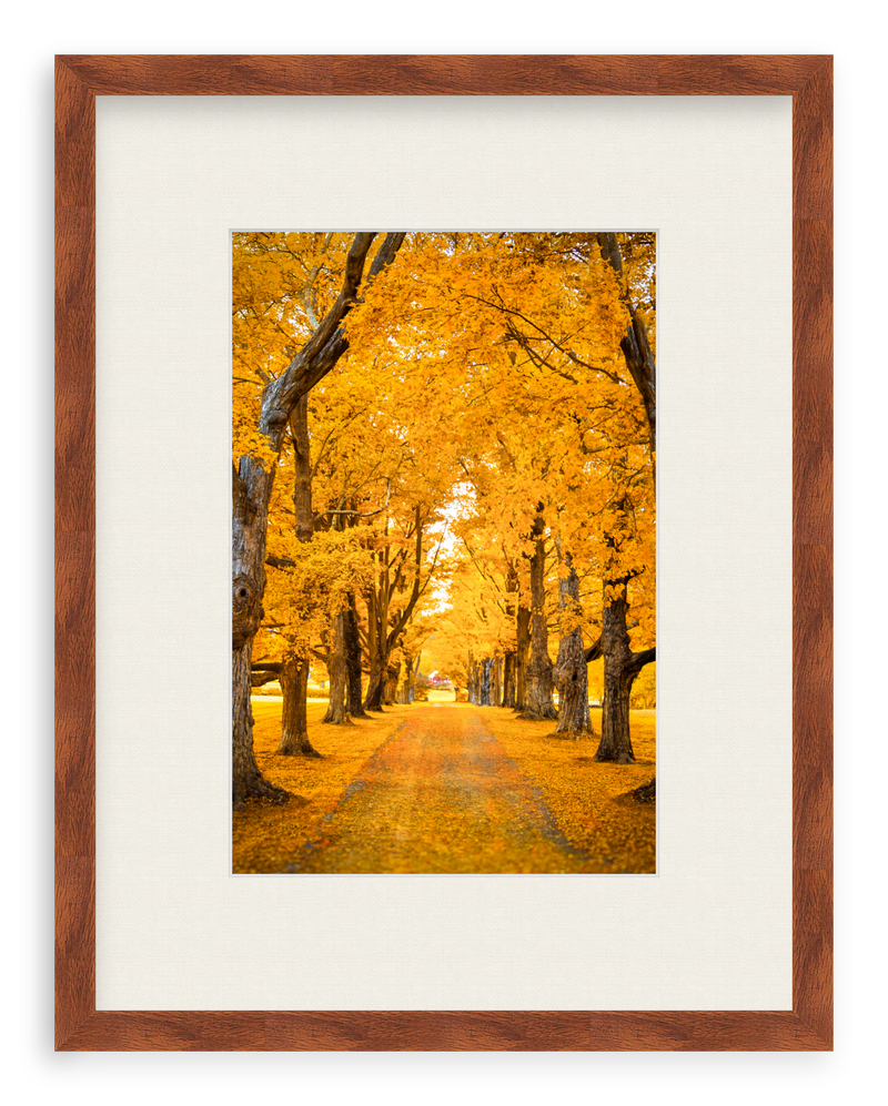 Golden Hour Framed Art Print