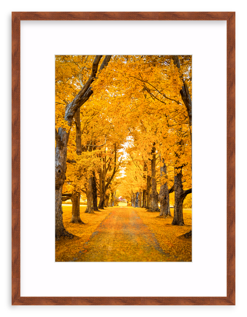 Golden Hour Framed Art Print