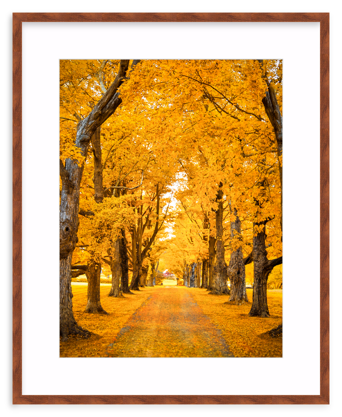 Golden Hour Framed Art Print