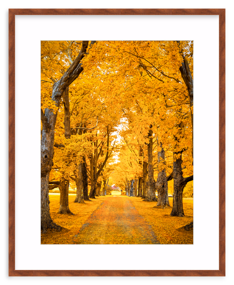 Golden Hour Framed Art Print