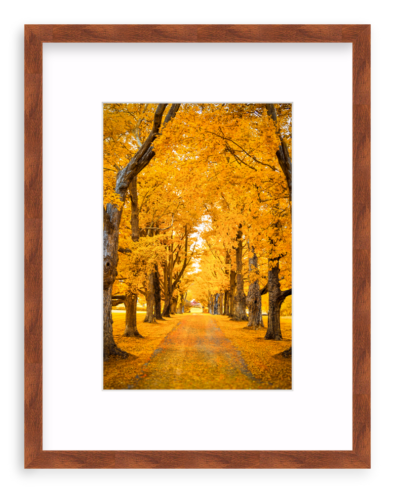 Golden Hour Framed Art Print