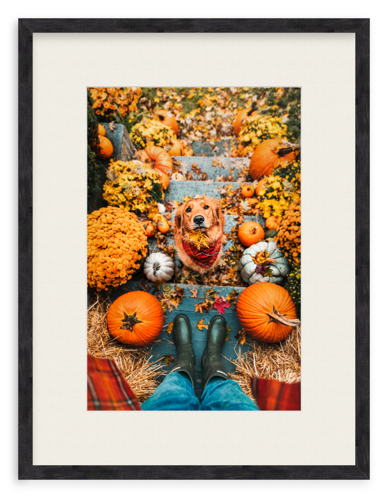 Leaf Retriever Framed Art Print
