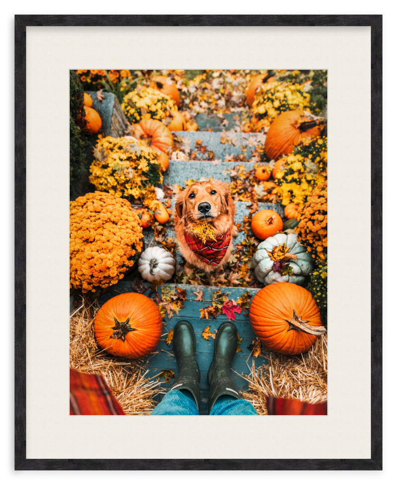 Leaf Retriever Framed Art Print