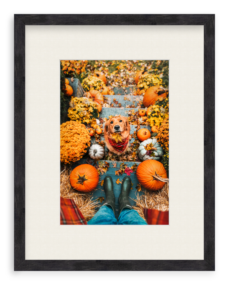 Leaf Retriever Framed Art Print