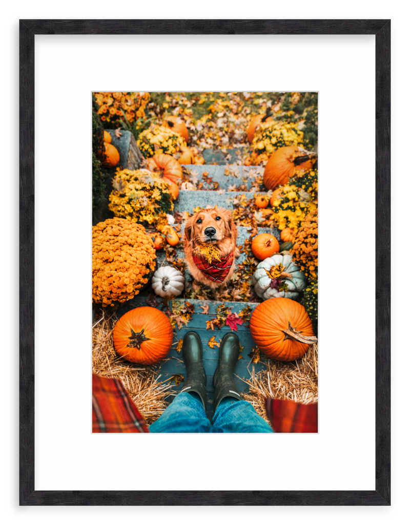 Leaf Retriever Framed Art Print