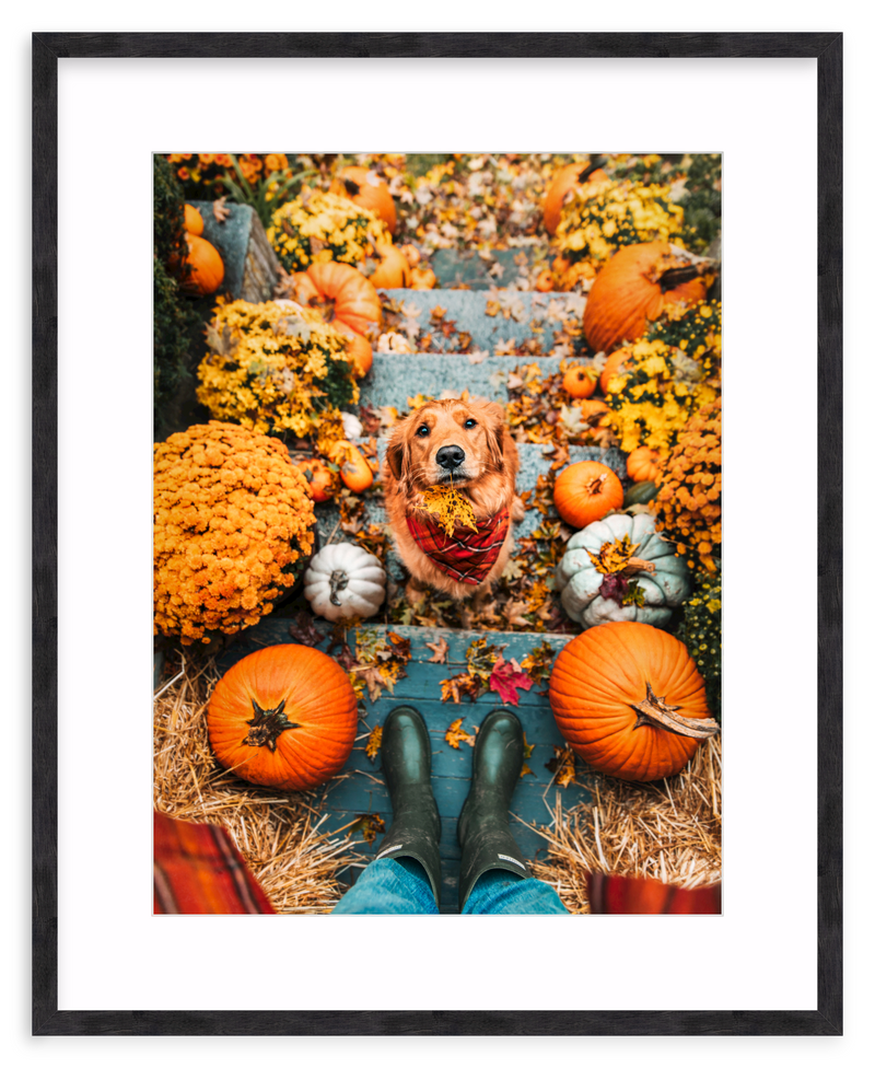 Leaf Retriever Framed Art Print