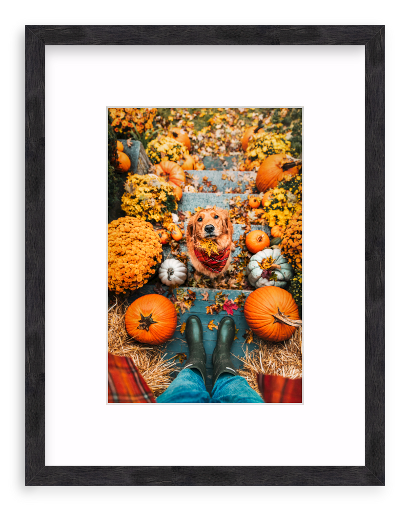 Leaf Retriever Framed Art Print