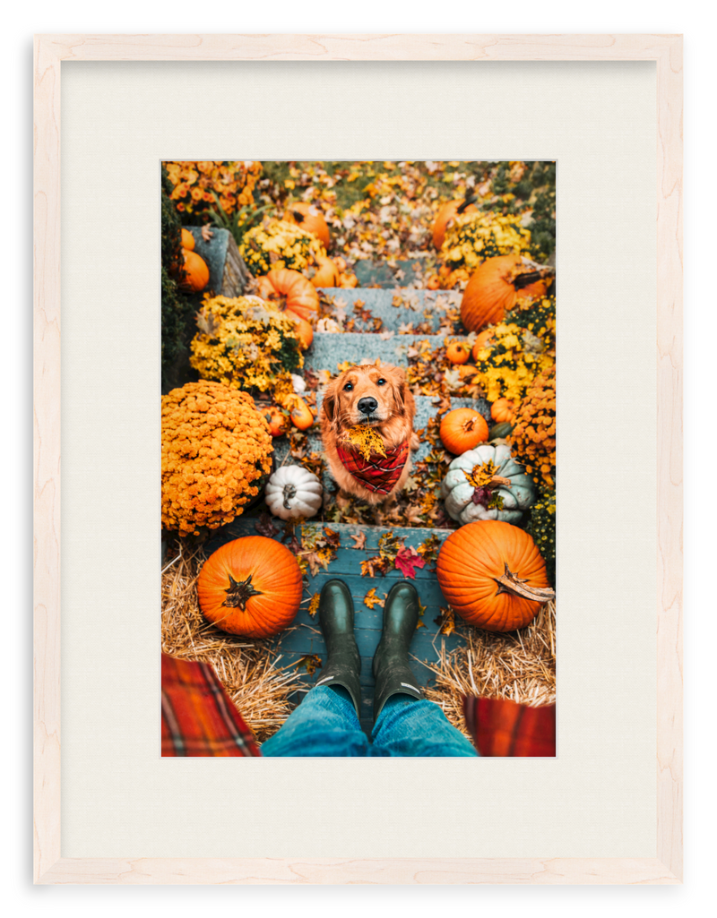 Leaf Retriever Framed Art Print