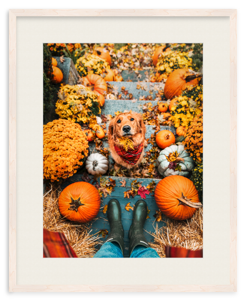 Leaf Retriever Framed Art Print