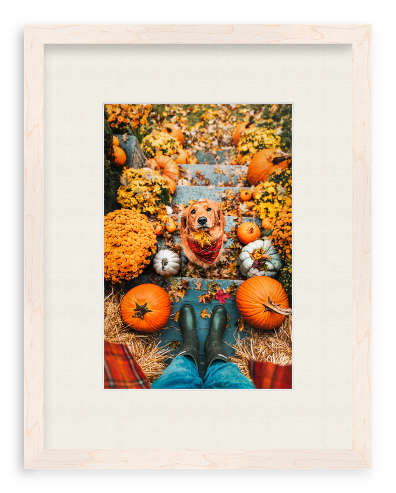 Leaf Retriever Framed Art Print