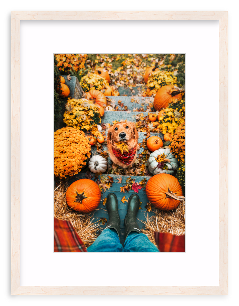 Leaf Retriever Framed Art Print