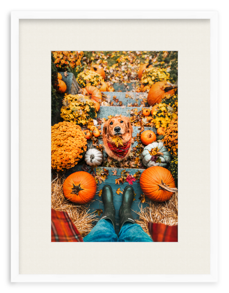Leaf Retriever Framed Art Print