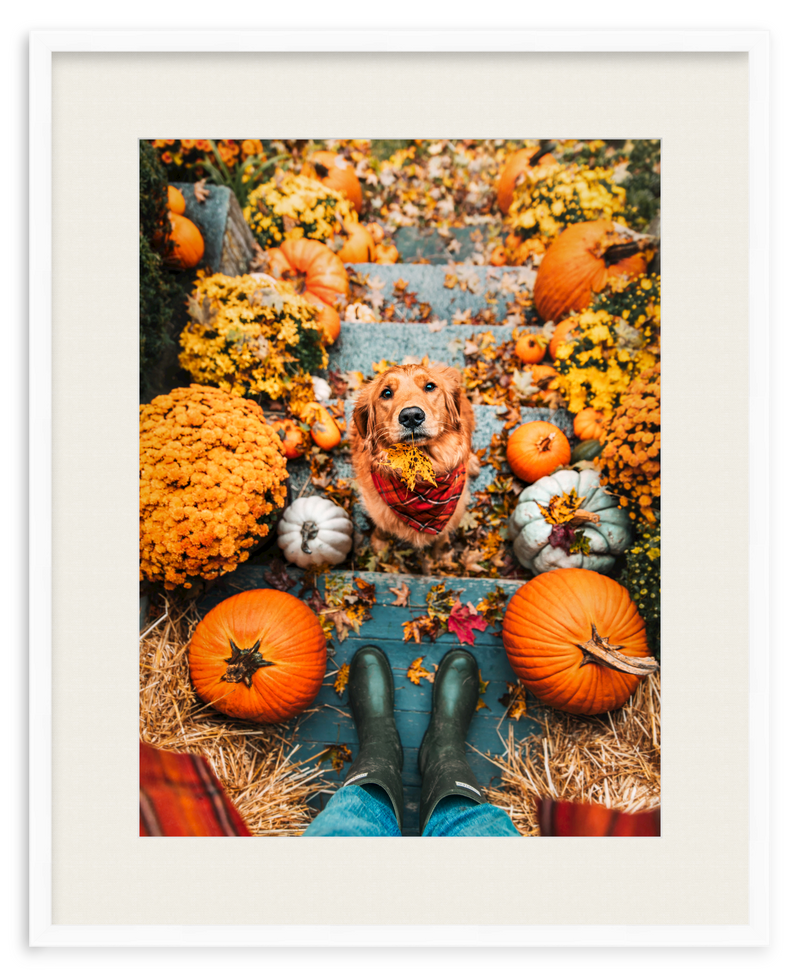 Leaf Retriever Framed Art Print