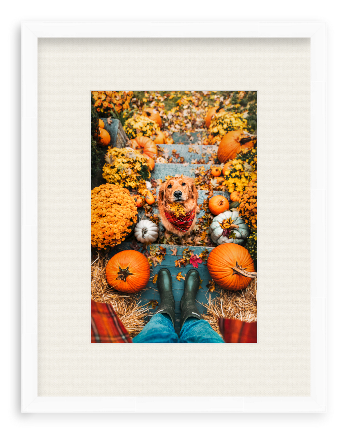 Leaf Retriever Framed Art Print