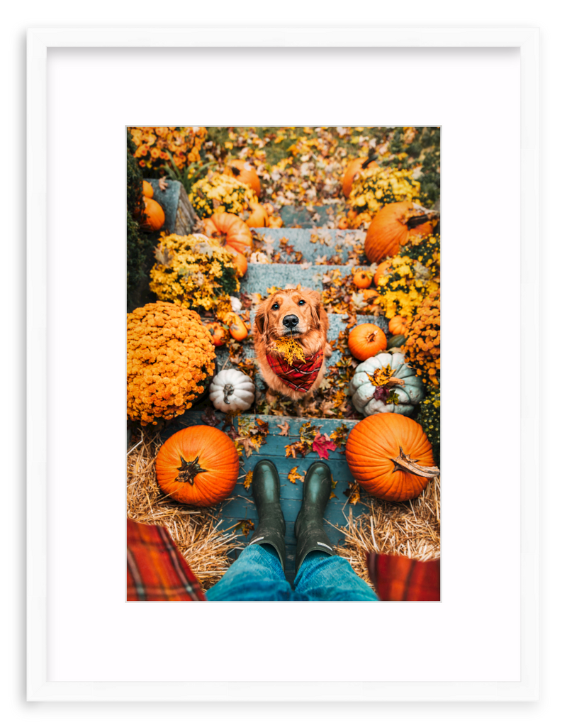 Leaf Retriever Framed Art Print