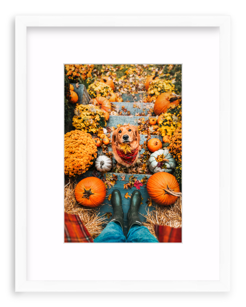 Leaf Retriever Framed Art Print