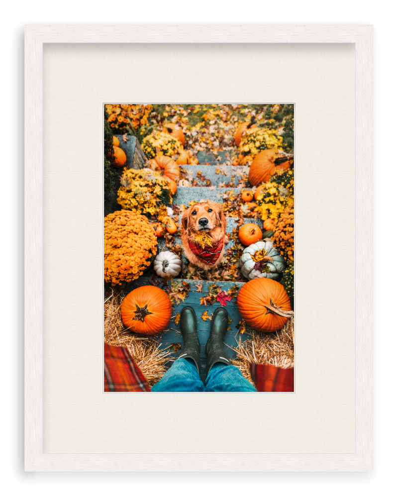 Leaf Retriever Framed Art Print