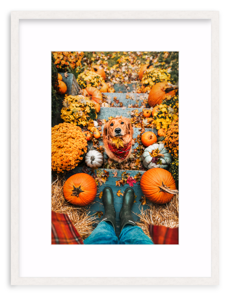 Leaf Retriever Framed Art Print