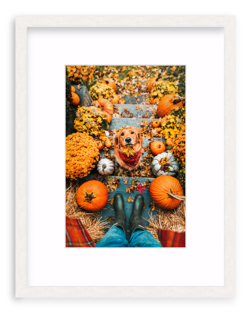 Leaf Retriever Framed Art Print