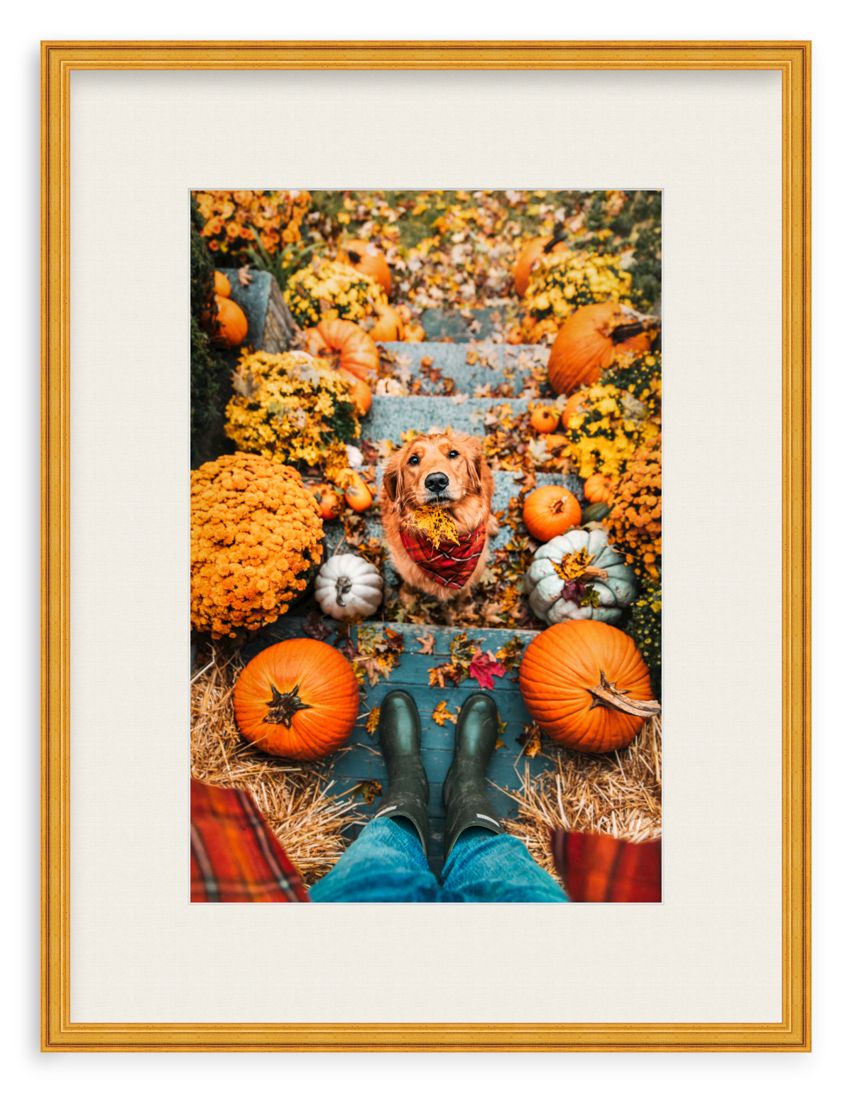 Leaf Retriever Framed Art Print