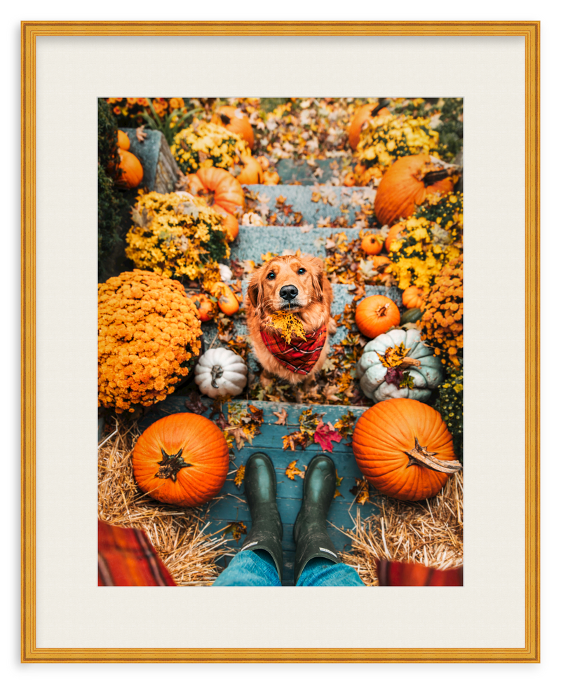 Leaf Retriever Framed Art Print